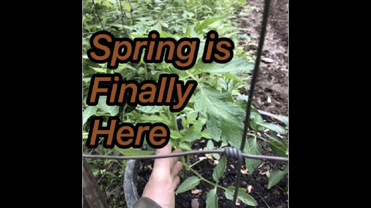 Big Spring Updates