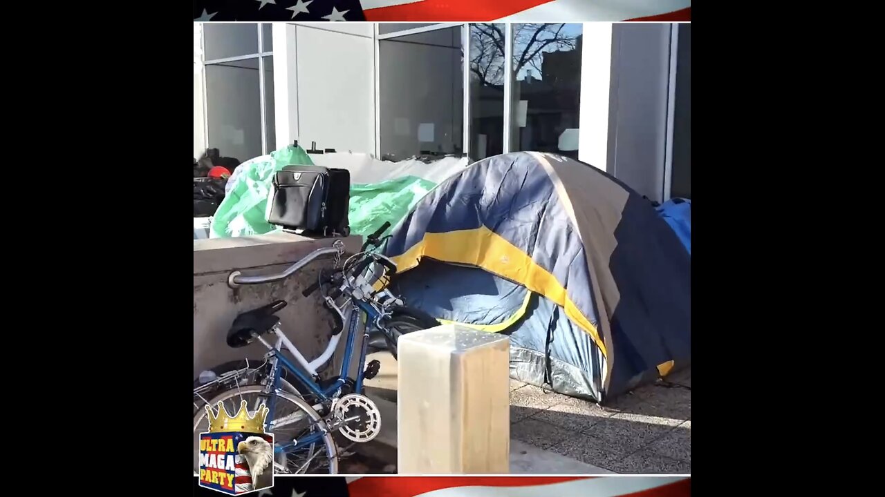 CHICAGO RESIDENTS🏘️🏢⛺️🛗BEING REPLACED BY ILLEGAL MIGRANTS🏨🛃🚧🛗💫