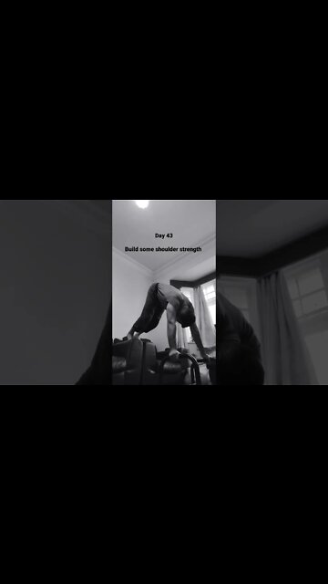 Day 43 - Learning How To Do Handstand Push Ups