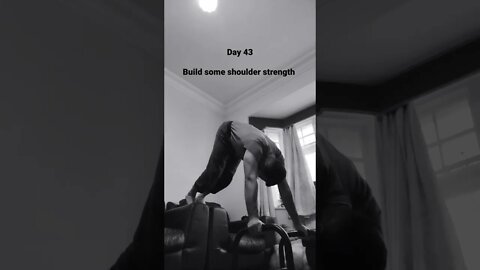 Day 43 - Learning How To Do Handstand Push Ups