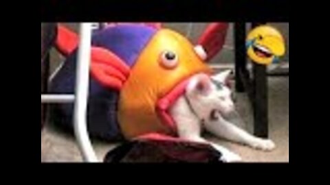 Best Funniest Animals Video of 2022 - Cute Cats😹 and Funny Dogs🐶 Videos!