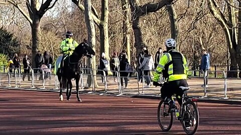 Police pick up piece of the instrument dropped by the household cavalry #buckinghampalace