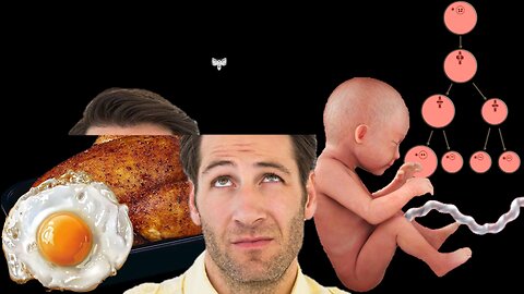 Eggs Are Not Life, but Embryos Are | Liberals Think (03/06/2024)