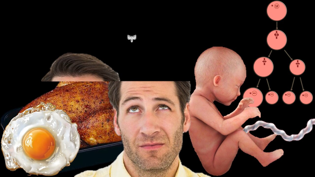 Eggs Are Not Life, but Embryos Are | Liberals Think (03/06/2024)