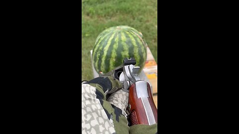 .357 Mag .vs Watermelons