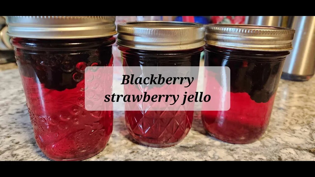 Blackberry strawberry jello treat @cozycottagehomestead #jellojuly2023