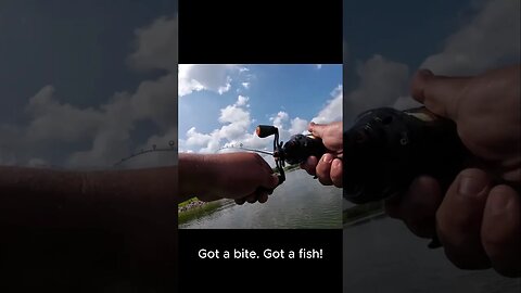 Will a 3D Printed Lure Catch Fish? | Exploring 3D Printed Lures #fishing #shorts #3dprinting