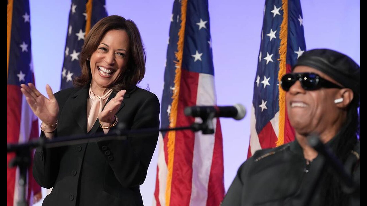 Beyond Parody Kamala Sicced DEI Flunkies on Intelligence Analysts Over How