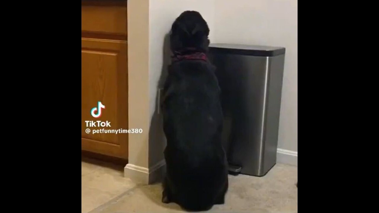 They All Get A Pass From Me