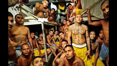 THE CONSERVATIVE TWINS Venezuelan Gangs Are Now Robbing Stores At Gunpoint