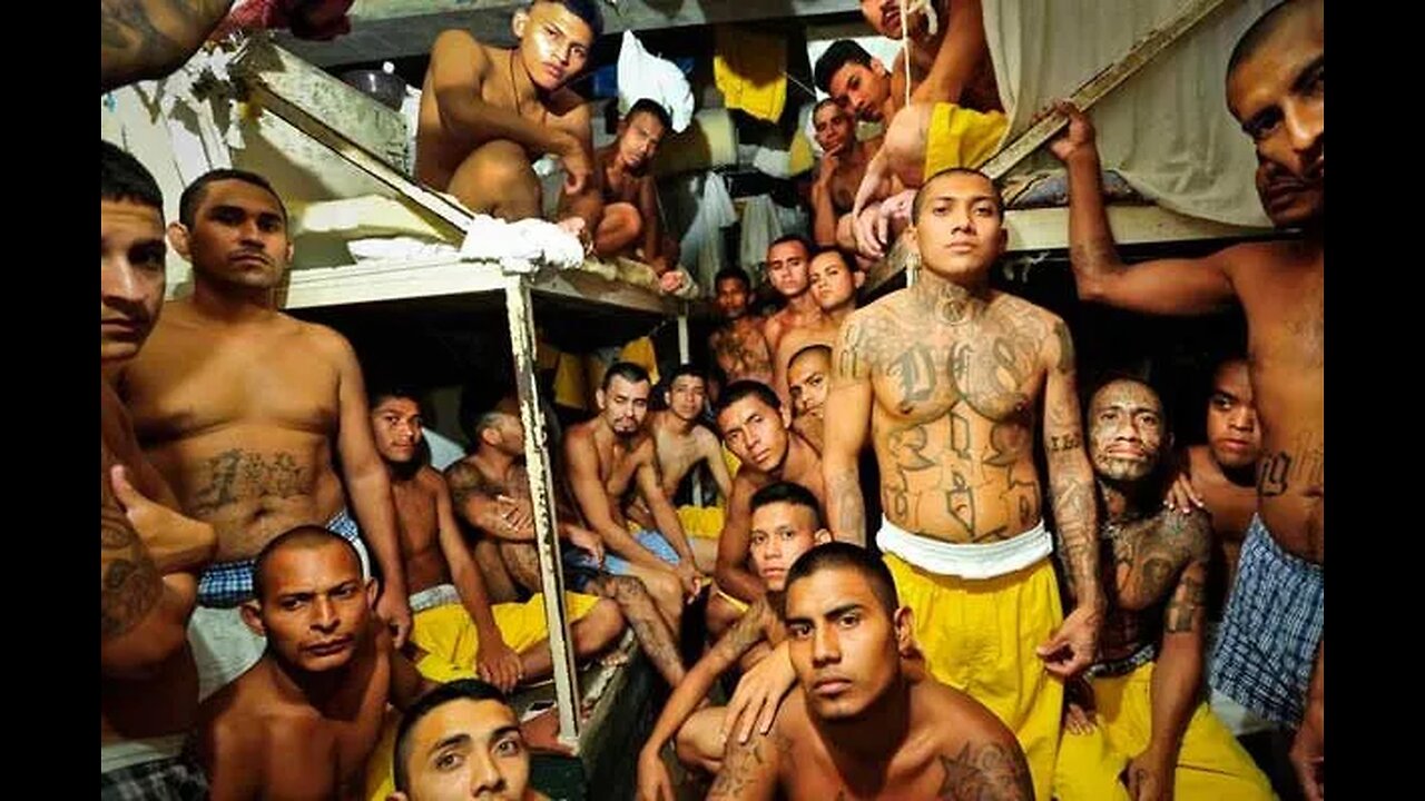 THE CONSERVATIVE TWINS Venezuelan Gangs Are Now Robbing Stores At Gunpoint