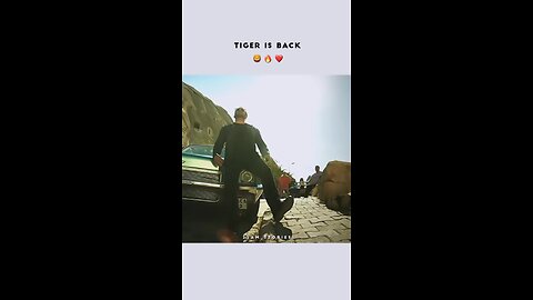 TIGER 3 SONG