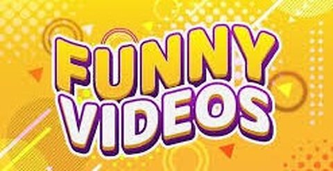 Trending Funny videos,