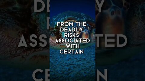 What Happens When You Dive 1000 Bars Underwater? Find Out Now!