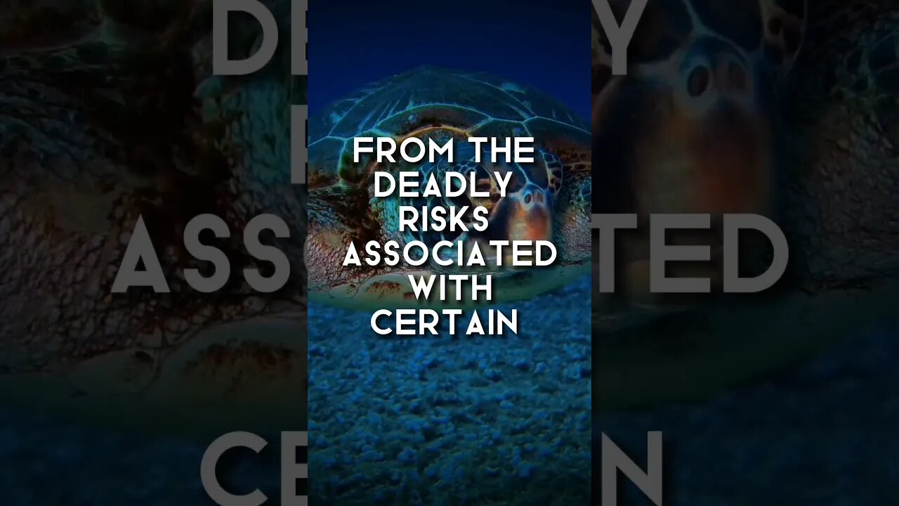 What Happens When You Dive 1000 Bars Underwater? Find Out Now!