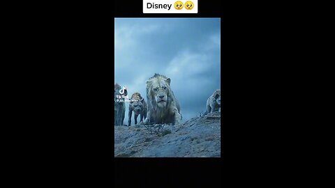 mofasa