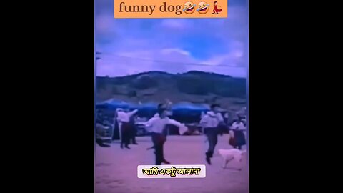 fanny video