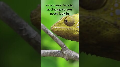 when your face is acting up so you gotta lock in #shorts #memes #trend