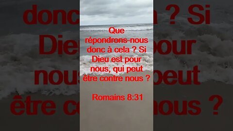 Verset Du Jour | Lecture Inspirante Pour Commencer La Journée. | 34