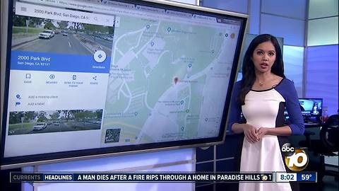 Man stabbed in Balboa Park
