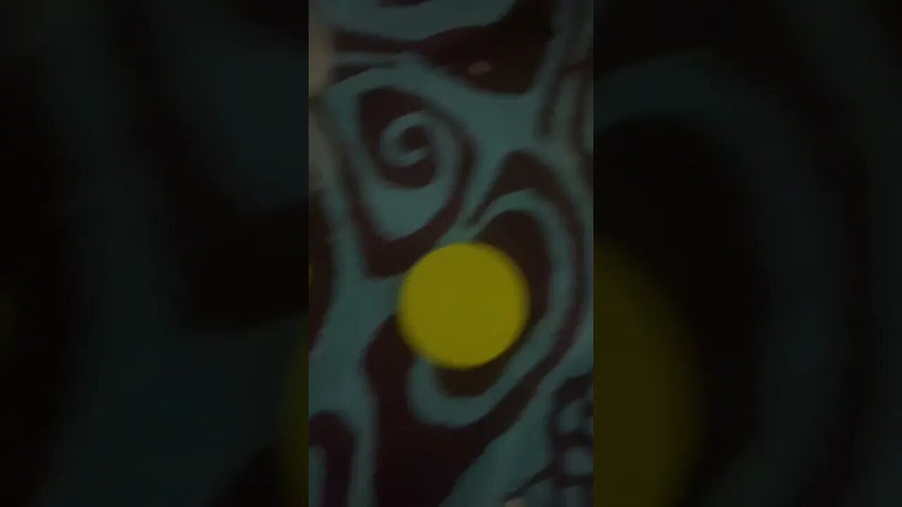 I gave worms to batz but he bite me 😂 | Sugar Glider #pets #sugarglider #shorts #short