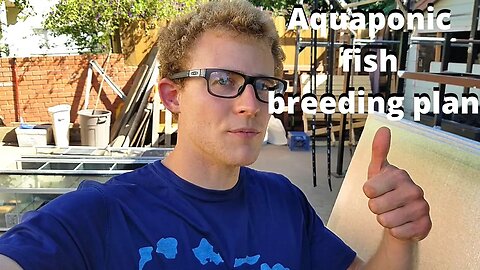 Tilapia and bluegill breeding plan (aquaponic fish)