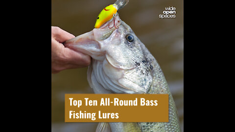 Best Bass Fishing Lures