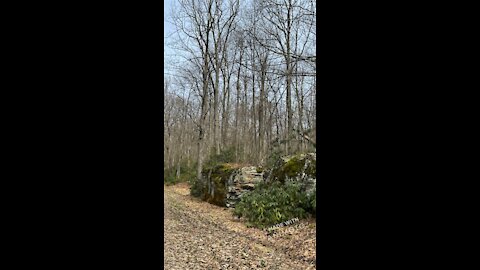 Monkey Wench Bigfoot Researchers