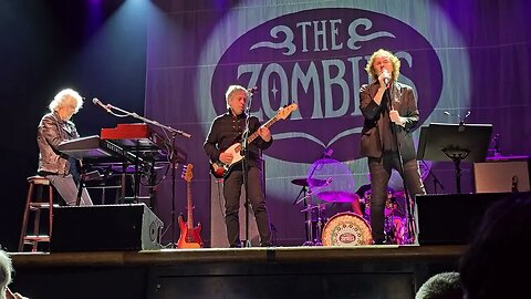 Zombies in Houston song You Could Be My Love