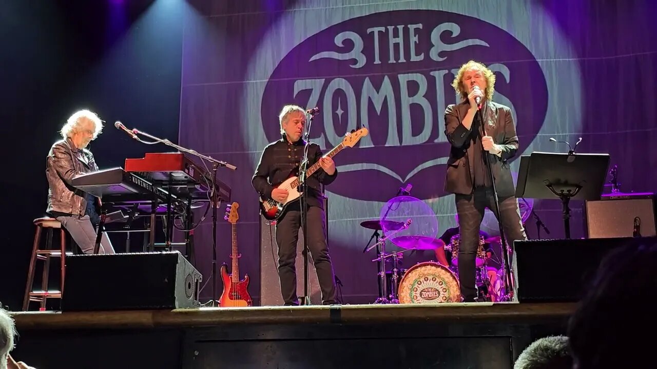 Zombies in Houston song You Could Be My Love
