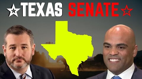 Who's Winning in Texas? 2024 Election Simulation