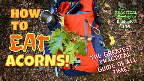 Exclusive 134: How To Eat Acorns! Full Practical Guide
