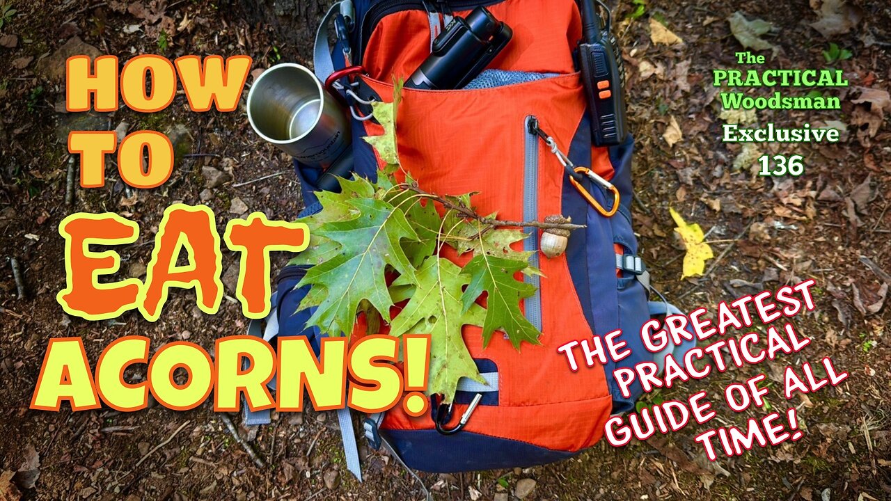 Exclusive 134: How To Eat Acorns! Full Practical Guide