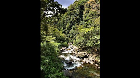 Boquete, Panama February 2017
