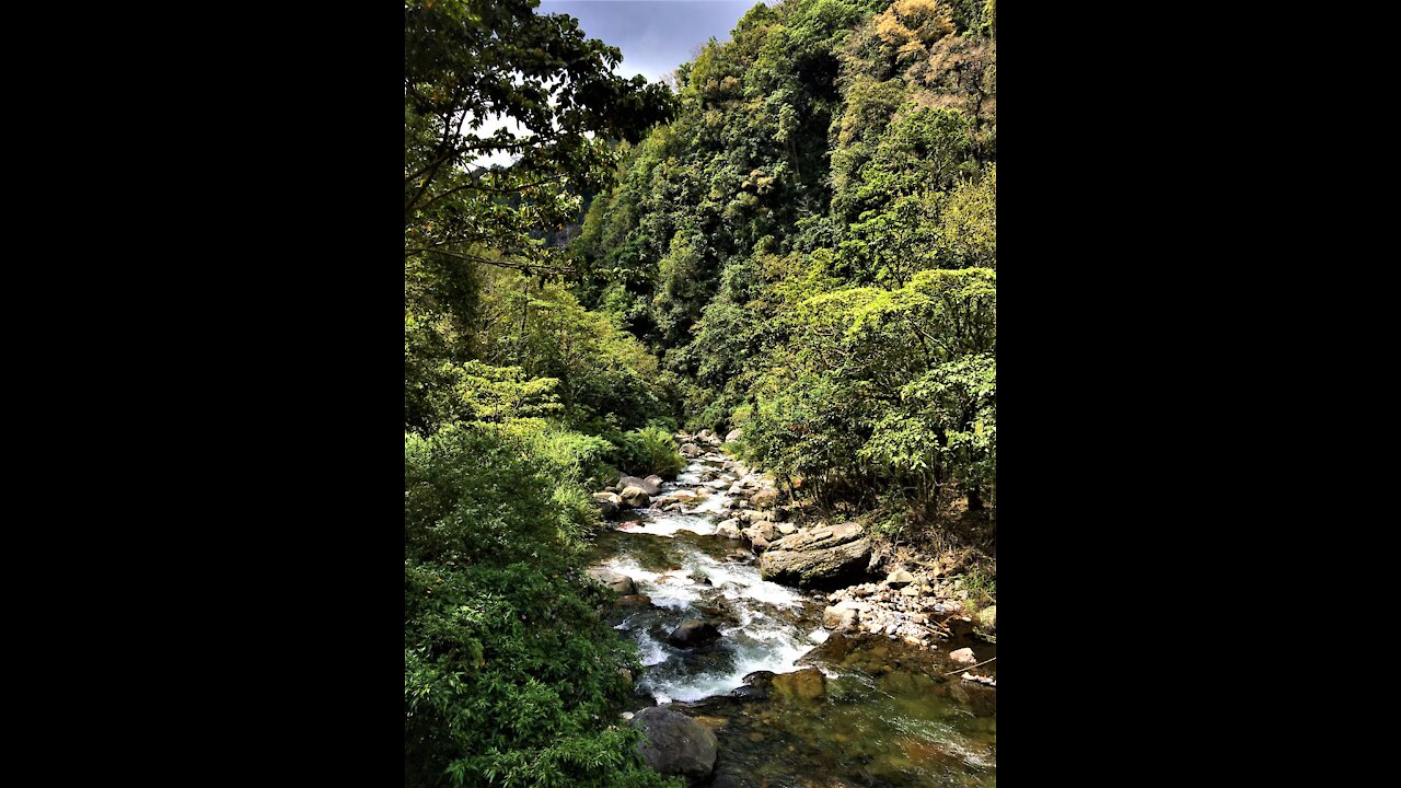 Boquete, Panama February 2017