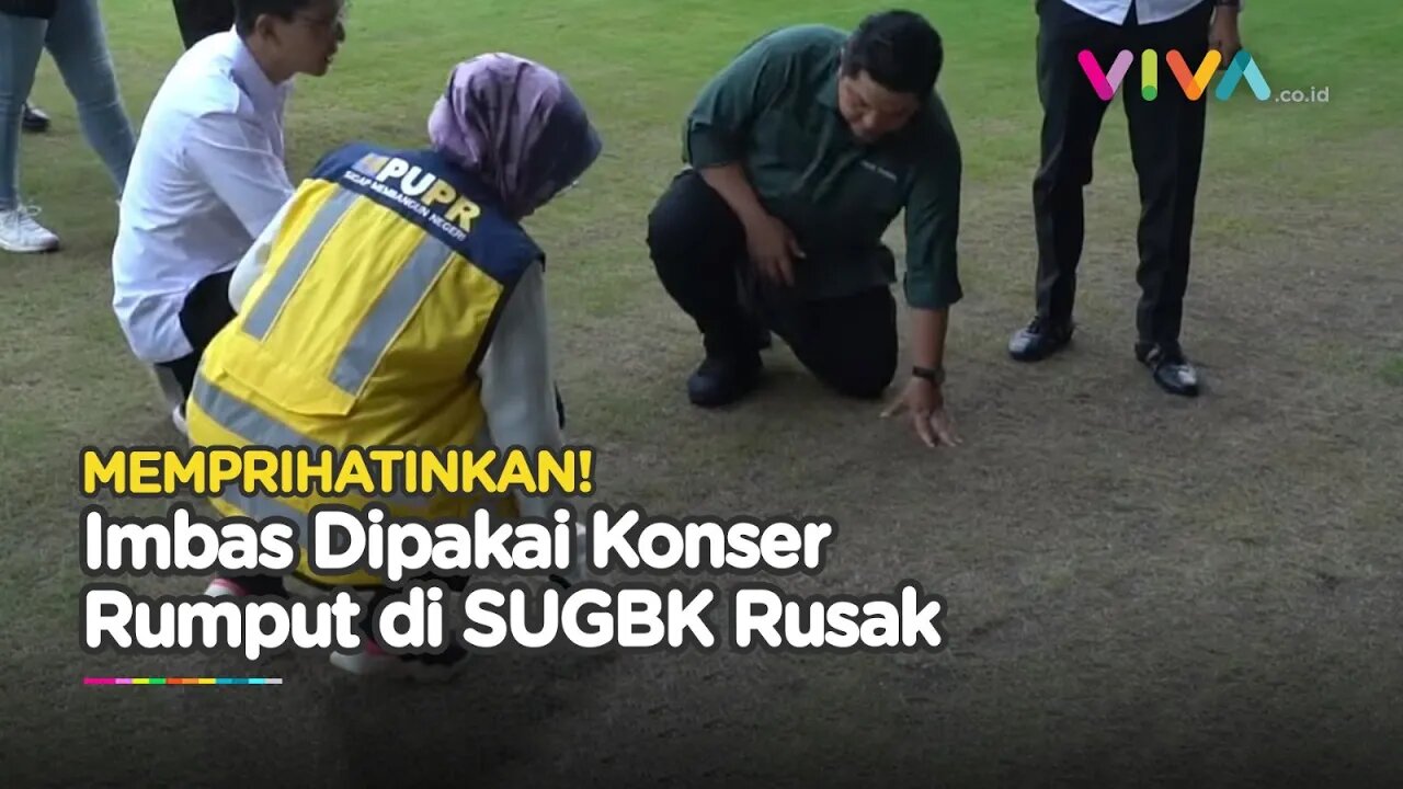 Kondisi Rumput Jadi Sorotan, Gak Ada Lagi Konser di SUGBK