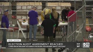 Audit group releases documents detailing procedures about the audit