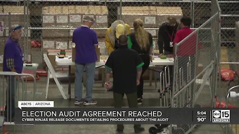 Audit group releases documents detailing procedures about the audit