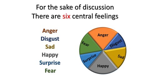 Where do feelings come from and why they even exist