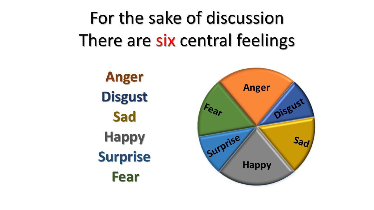 Where do feelings come from and why they even exist