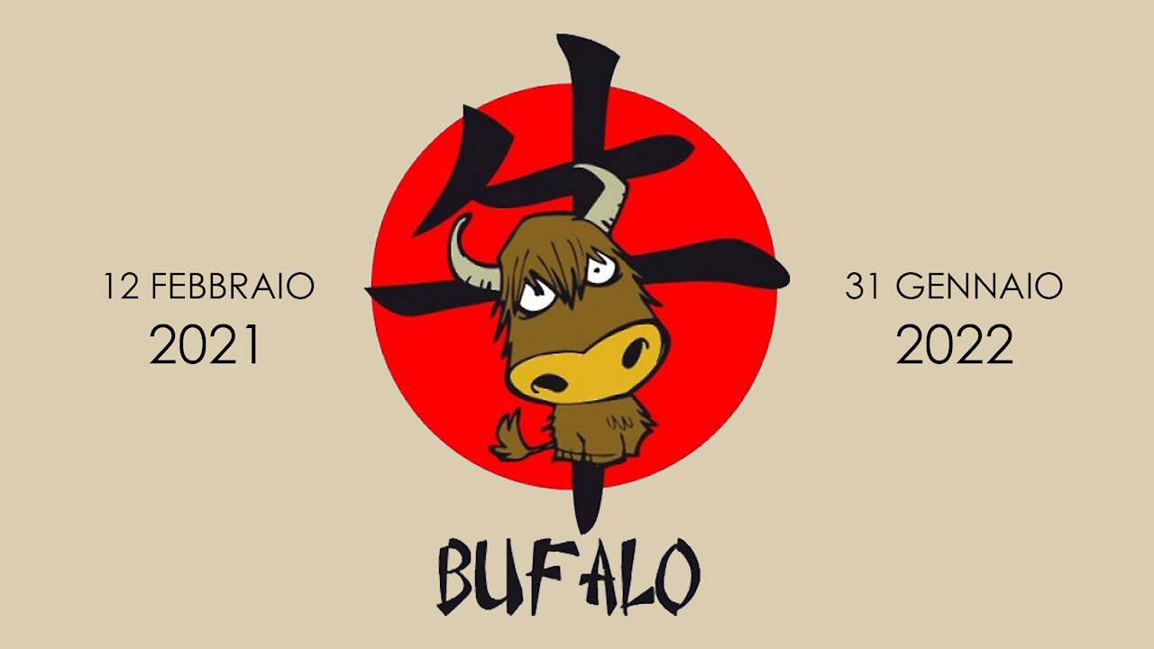 2021 - Anno del Bufalo