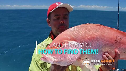 Wonky Holes underwater springs that hold huge red fish
