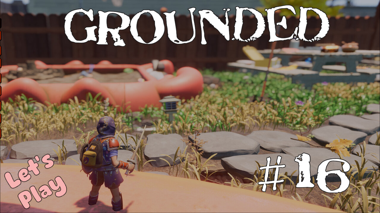 Let's Play | Grounded | #16