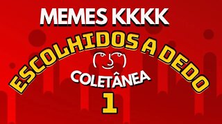 MEMES ESCOLHIDOS A DEDO | Coletânea 1