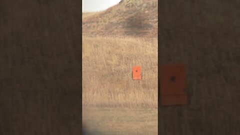 Tikka 7mm mag @750 yds 🎯 #shorts