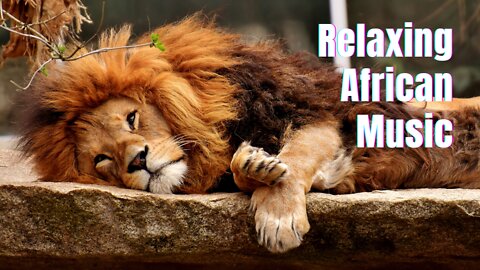 Beautiful Relaxing African Music 🦣 Calming Film With Relaxing Music