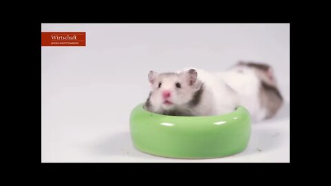 Woher kommt die Energie für meine Videos?