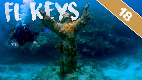 BLOODY HAND FISHBITE - Hand Feeding Fish and Scuba Diving the Florida Keys