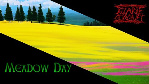 Meadow Day ~ What a beautiful day outside!
