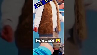 Grooving #funny #funnyshorts